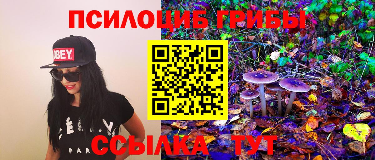 Псилоцибиновые грибы Psilocybine cubensis  магазин  наркотиков  Галлюциногенные грибы мицелий  Старая Купавна  Вход с VPN 