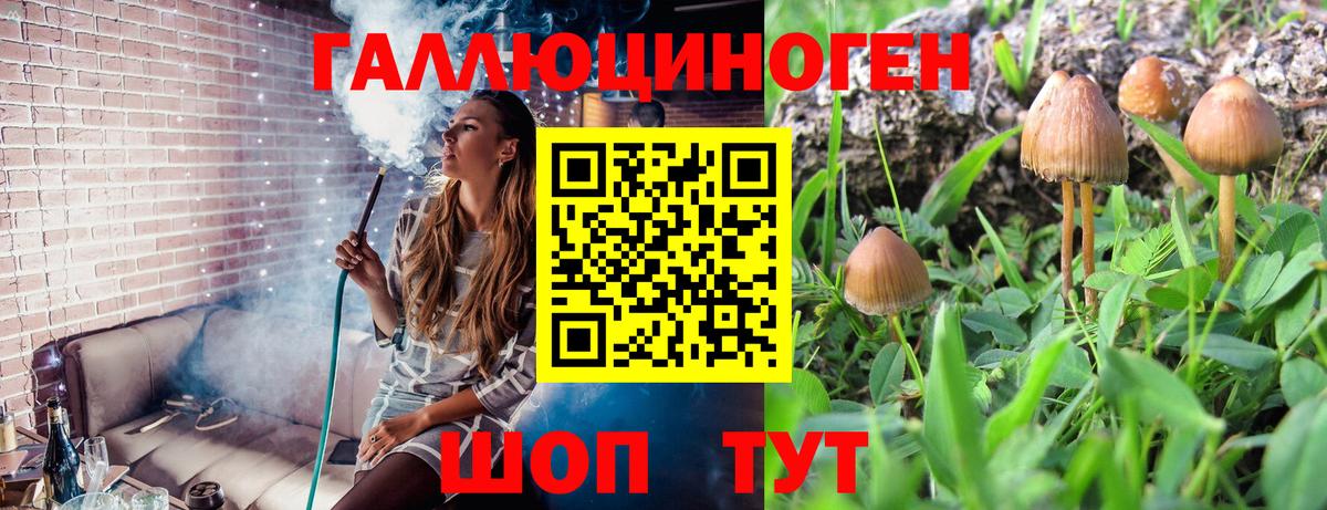 Псилоцибиновые грибы Cubensis Старая Купавна